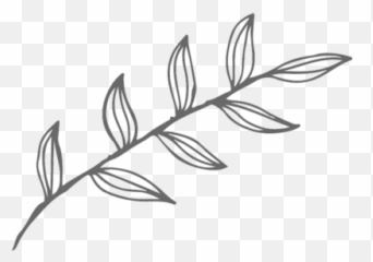 Geelong Wedding Photography Wild Heart Photography Weddings - Leaf Outline Png Emoji,Emotion 1966
