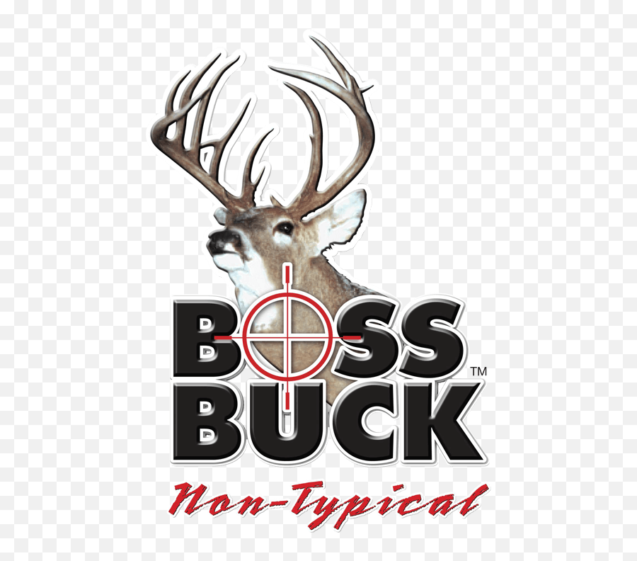 White - Tailed Deer Boss Buck Deer Hunting Triple H Png Boss Buck Logo Emoji,Buck Deer Emoji