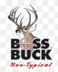 White - Tailed Deer Boss Buck Deer Hunting Triple H Png Boss Buck Logo Emoji,Buck Deer Emoji