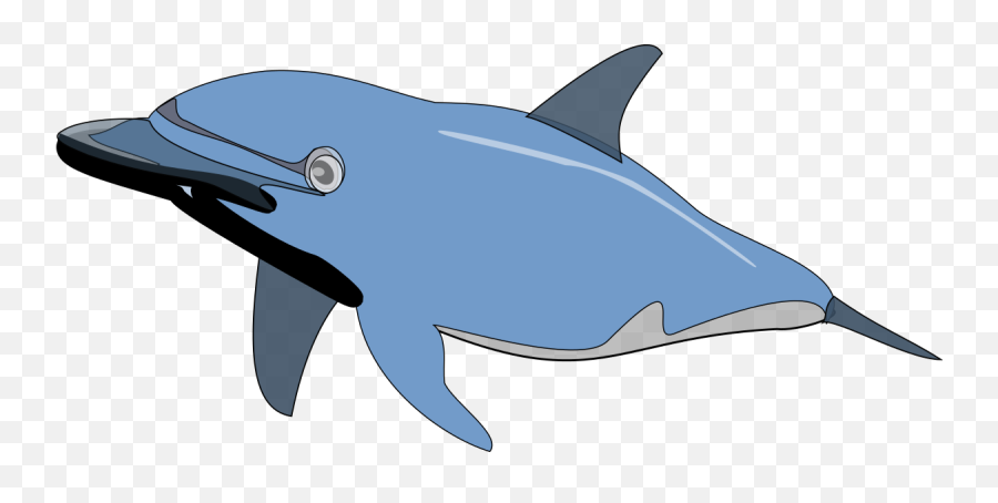 70 Free Dolphins U0026 Mammal Vectors - Pixabay Dolphin Clip Art Emoji,Dolphin Emoji