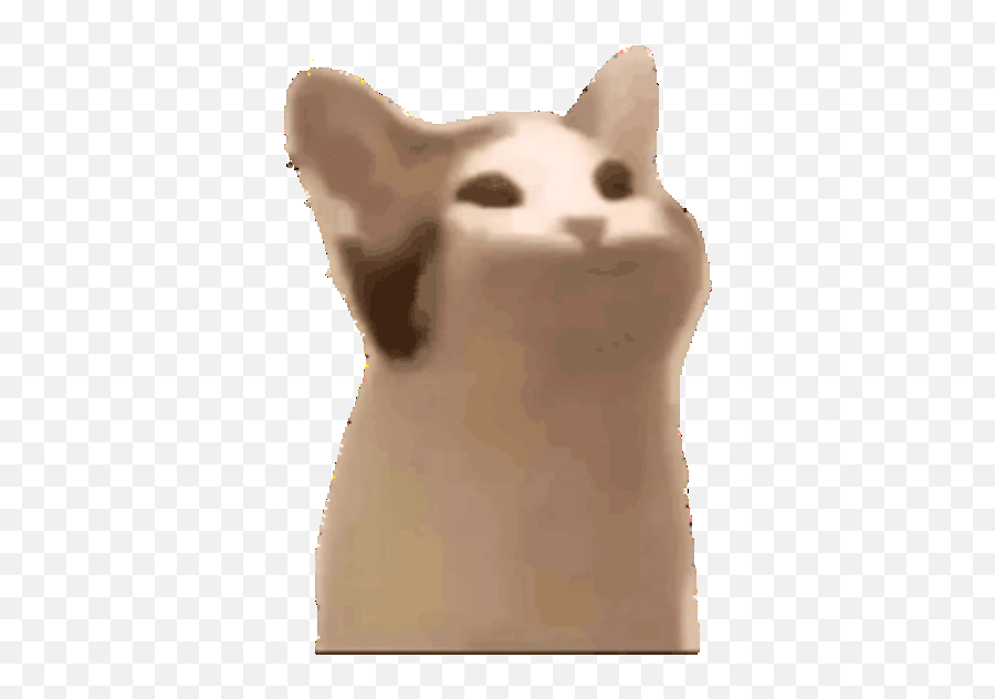 Pop Cat Emojis - Pop Cat Meme Sticker,Cat Emojis