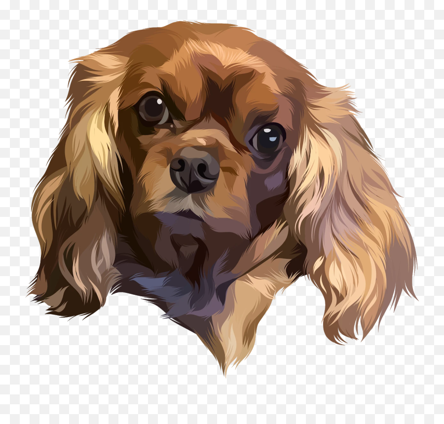Beneficial Oils For Dogs U2013 Ruby Cavalier King Charles Spaniel Emoji,Germophob Emoji