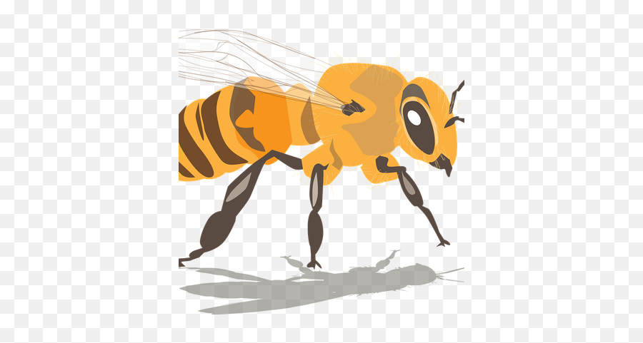 Enjambre De Abejas Png Transparent Png - Apicultura Png Emoji,Bandera De Usa Emoji Png