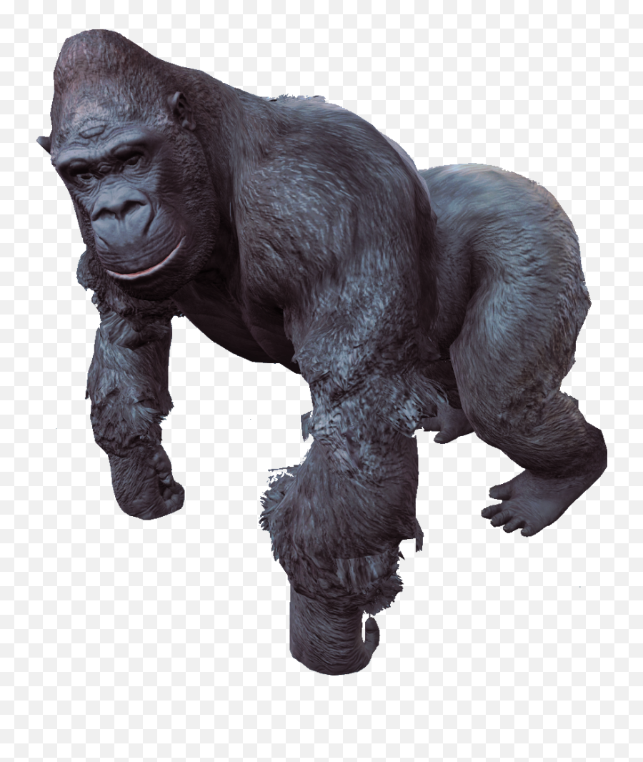 Gorilla Png File - Gorila Png Emoji,Where Is The Gorilla Emoji
