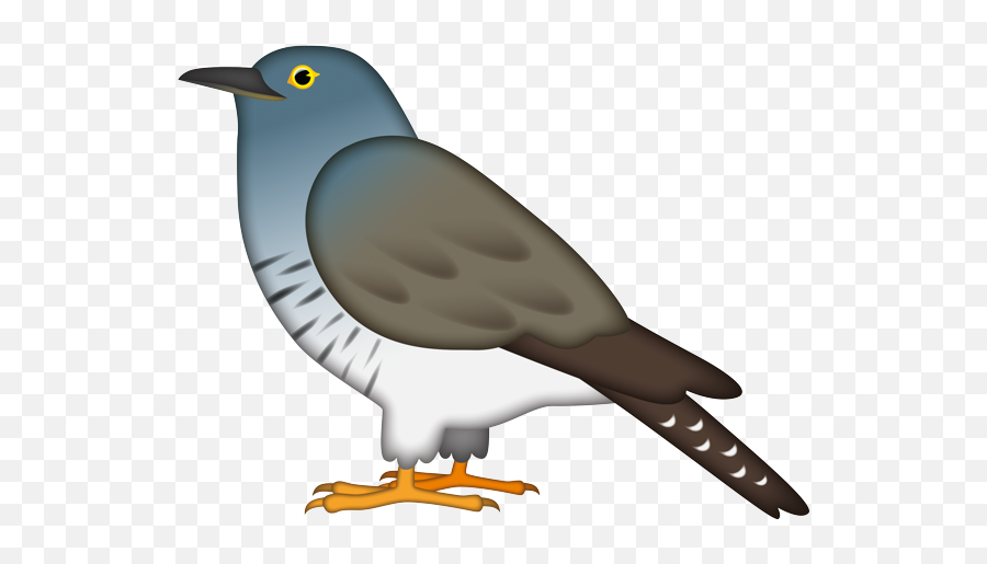 Fastest Emoji Pigeon,Mexican Hat Emoji Copy And Oaste