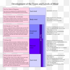 Understanding The Human Mind - Vertical Emoji,Soul Mind Will Emotions
