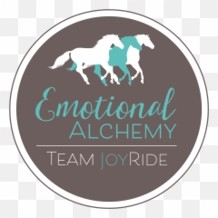 Joyride - One Week Trial Confident Rider Mindset Western Riding Emoji,Horse Emotions