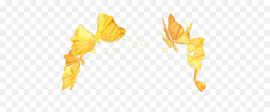 Snapchat Flower Crown Buy - Snapsmetech Transparent Background Yellow Flower Crown Emoji,Blac Chyna Emoji App