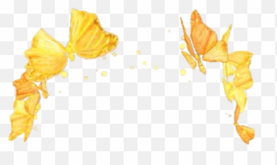 Snapchat Flower Crown Buy - Snapsmetech Transparent Background Yellow Flower Crown Emoji,Blac Chyna Emoji App
