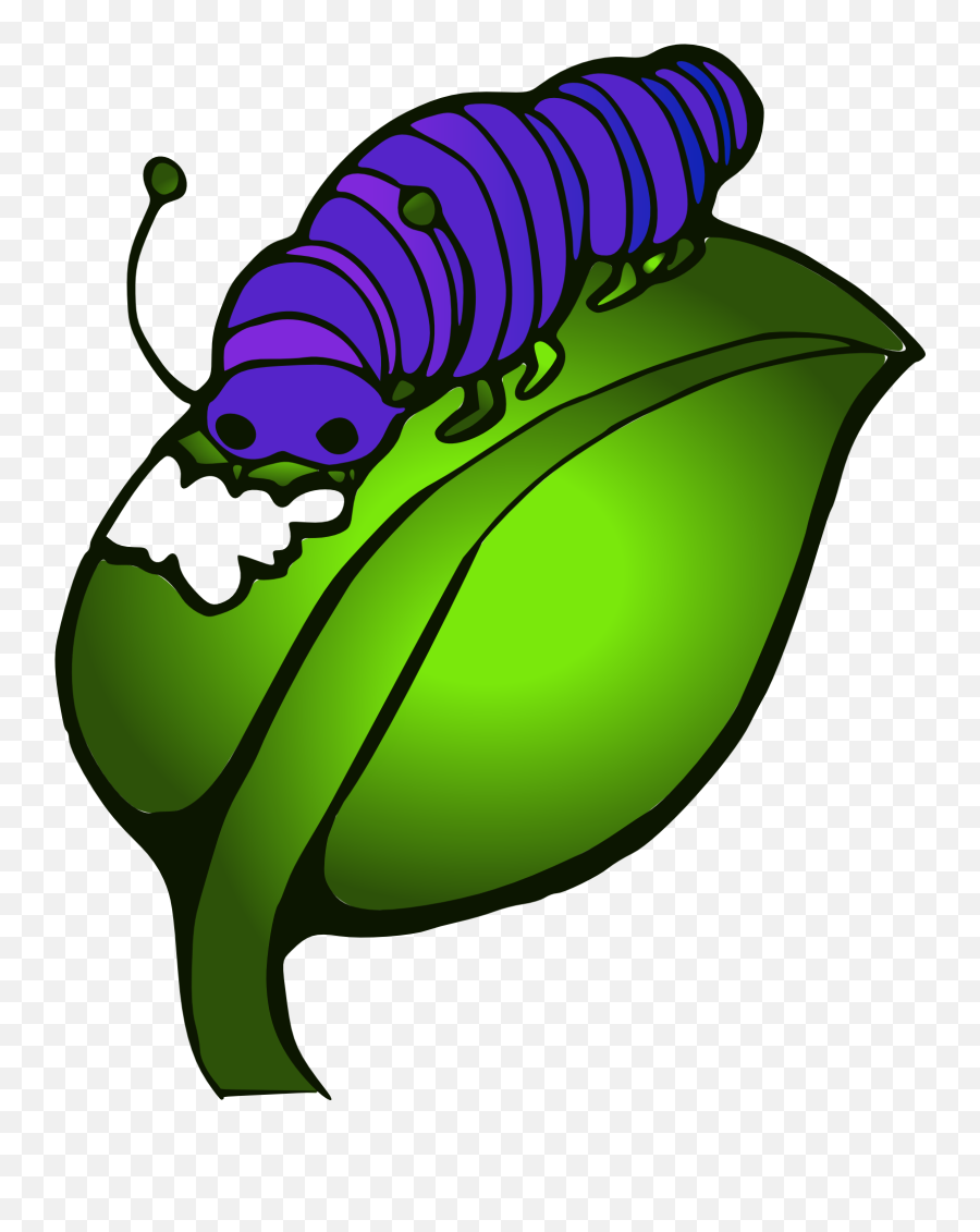 Clipart Painted Purple Caterpillar - Clipart Caterpillar Eating Leaf Emoji,Purple Caterpillar Emoticon