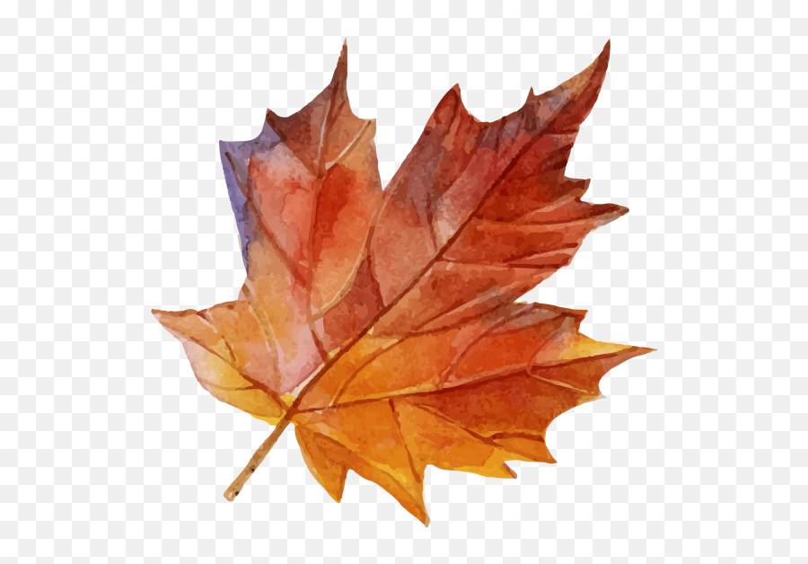 Maple Leaf Png - Maple Leaf Free Download Emoji,Free Red Maple Leaf Emoji