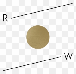 Practicing Belonging With Toko - Pa Turner Ruby Warrington Emoji,Emotions Of Ruby