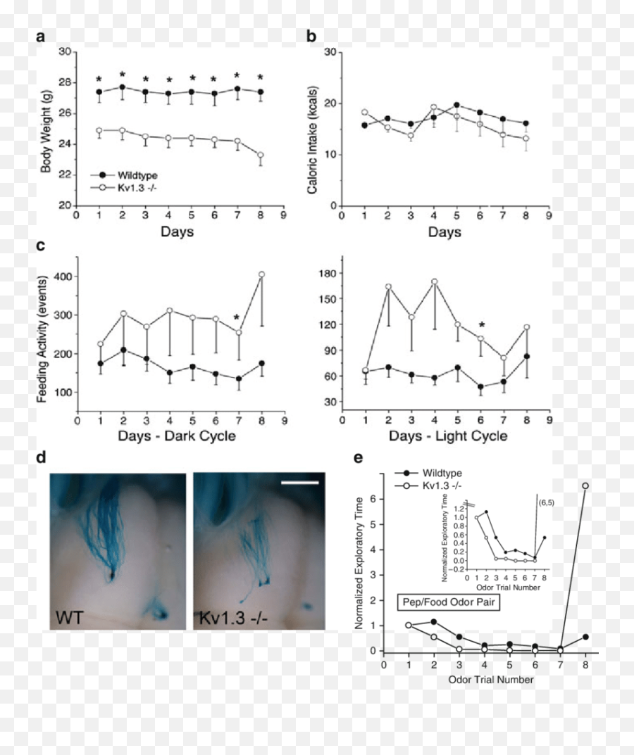 Loss Of Kv13 Gene Causes A Reduction In Body Weight Emoji,Pucca Emotions