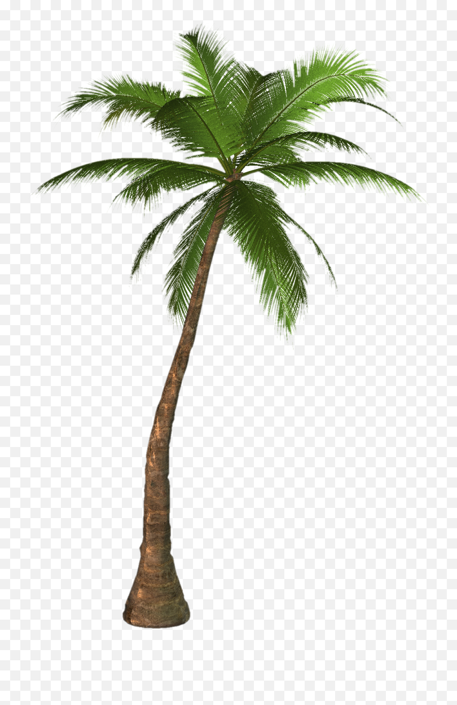 Tree Palmtree Palm Coconut Sticker By Ryan Ross - Palm Tree Png Emoji,Palm Tree Drink Emoji