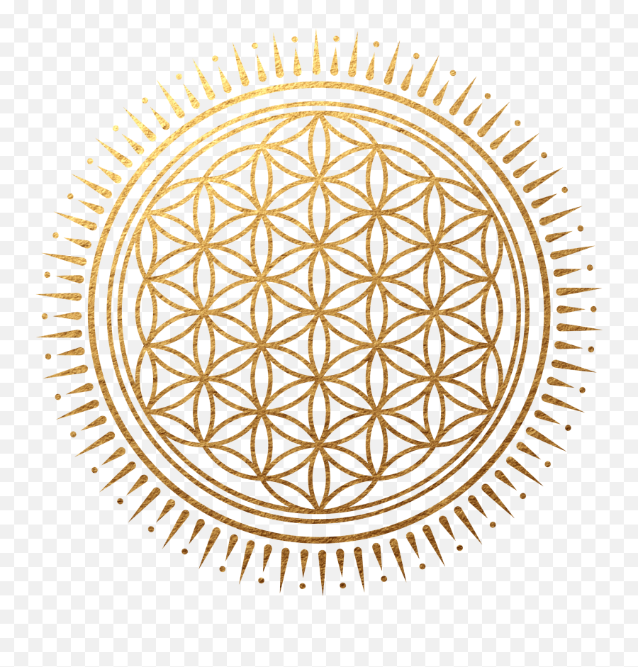 Learn Reiki The Wild Loving Divine - Church Logo Circle With Sword Emoji,Sacred Knowledge Of Vibration And The Power Of Human Emotions