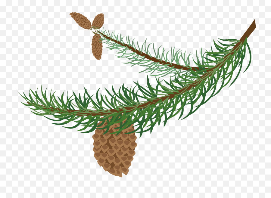 Needle Clipart Pine Tree Needle Pine - Clipart Winter Tree Branch Emoji,Needle Arm Emoji