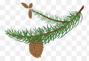 Needle Clipart Pine Tree Needle Pine - Clipart Winter Tree Branch Emoji,Needle Arm Emoji
