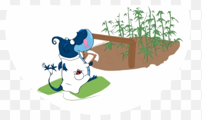 Dragon Cbd Oil - Soil Emoji,Work Emotion 11r 18x9.5