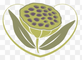 Essential Oils Flourish With Deanne - Taman Nasional Komodo Emoji,Emotions And Essential Oils 2018