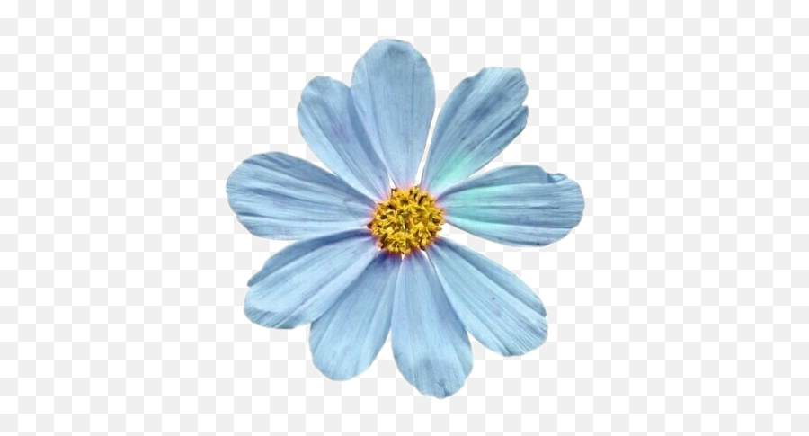 Blue Flower Flowers Blueflower Sticker - Flores Aesthetic Png Azules Emoji,Flowe Emoji