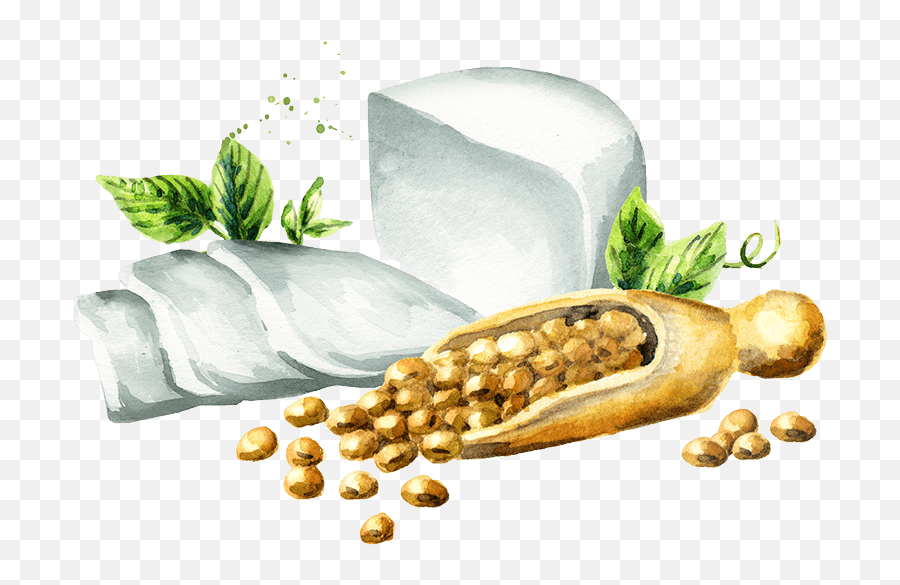 The Ucsf Guide To Healthy And Happy Eating Uc San Francisco - Soybean Watercolor Emoji,List Of Emotions And Foods