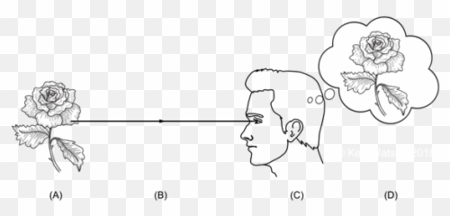 Did Matter Arise From Consciousness Or - Dot Emoji,Brogaard 5 Piece Of Unconscious Emotions