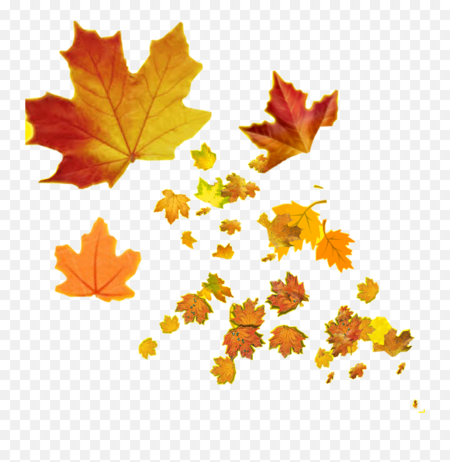The Most Edited - Lovely Emoji,Free Red Maple Leaf Emoji