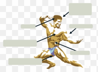 Anabolic Steroids - Eroidsshop For Running Emoji,Emotions Hgh Note