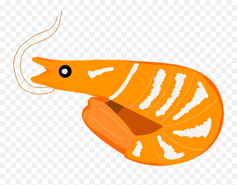 Free Photo King Prawns Seafood Prawns - Prawns Emoji,Shrimp And Sushi Emotion