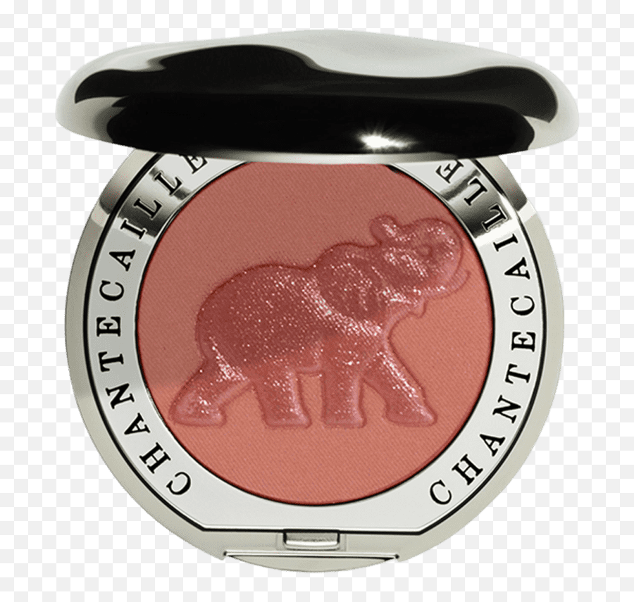 Beauty Products At Bergdorf Goodman - Chantecaille Blush Emoji,Cheek Shade Chantecaille Emotion