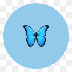 Marblecards Emoji,2 Blue Butterfly Emojis