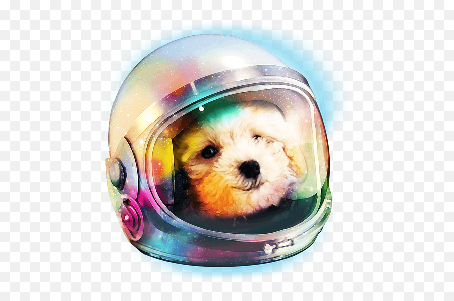 Poodle Puppy In Astronaut Helmet Space Galaxy Dog T - Shirt Emoji,Poodle Emoticon