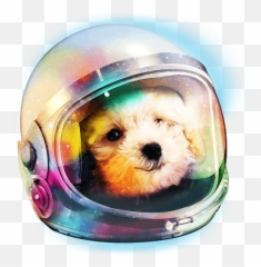 Poodle Puppy In Astronaut Helmet Space Galaxy Dog T - Shirt Emoji,Poodle Emoticon