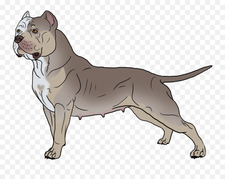 American Pit Bull Terrier Bulldog - American Bully Clip Art Png Emoji,Pit Bull Emoji