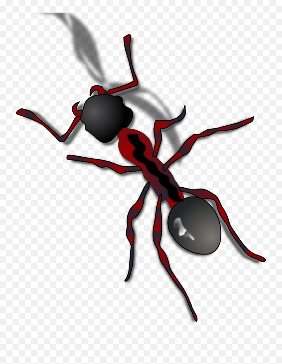 Cartoon Ants Transparent Background Gif Clipart - Full Size Emoji,Sugar Cube Emoji