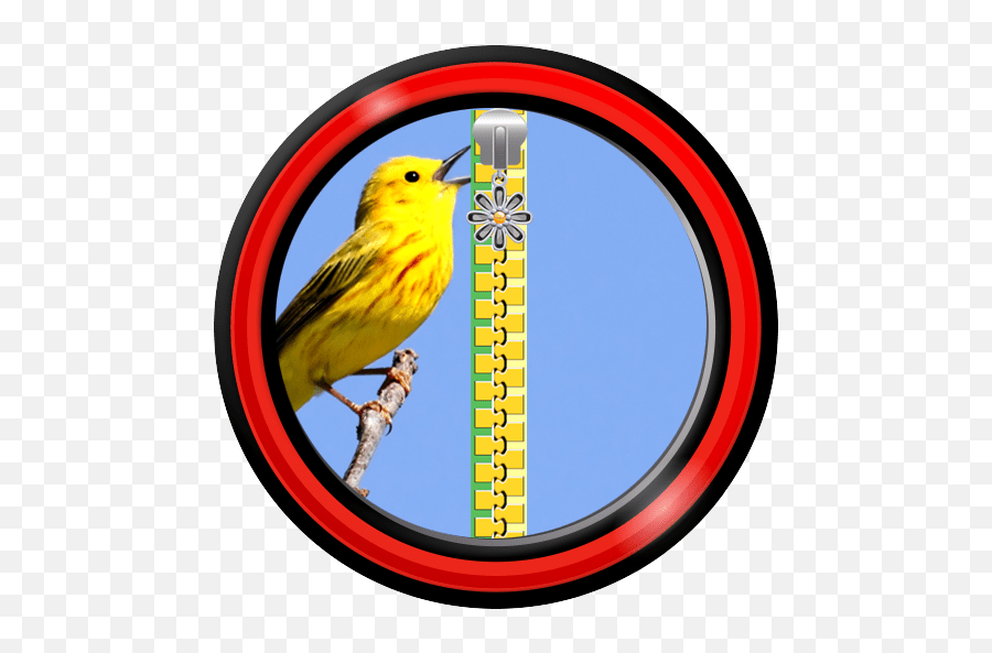 Get Screen Lock - Singing Birds Apk App For Android Aapks American Yellow Warbler Emoji,Hummingbird Emoji Android