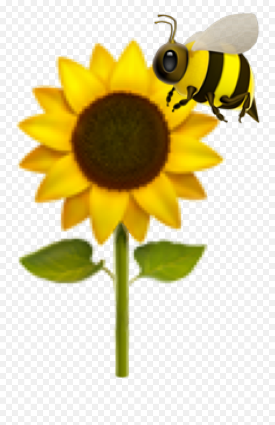 Bee Honeybee Sunflower Emoji Sticker - Iphone Sunflower Emoji Png,Honey Bee Emoji