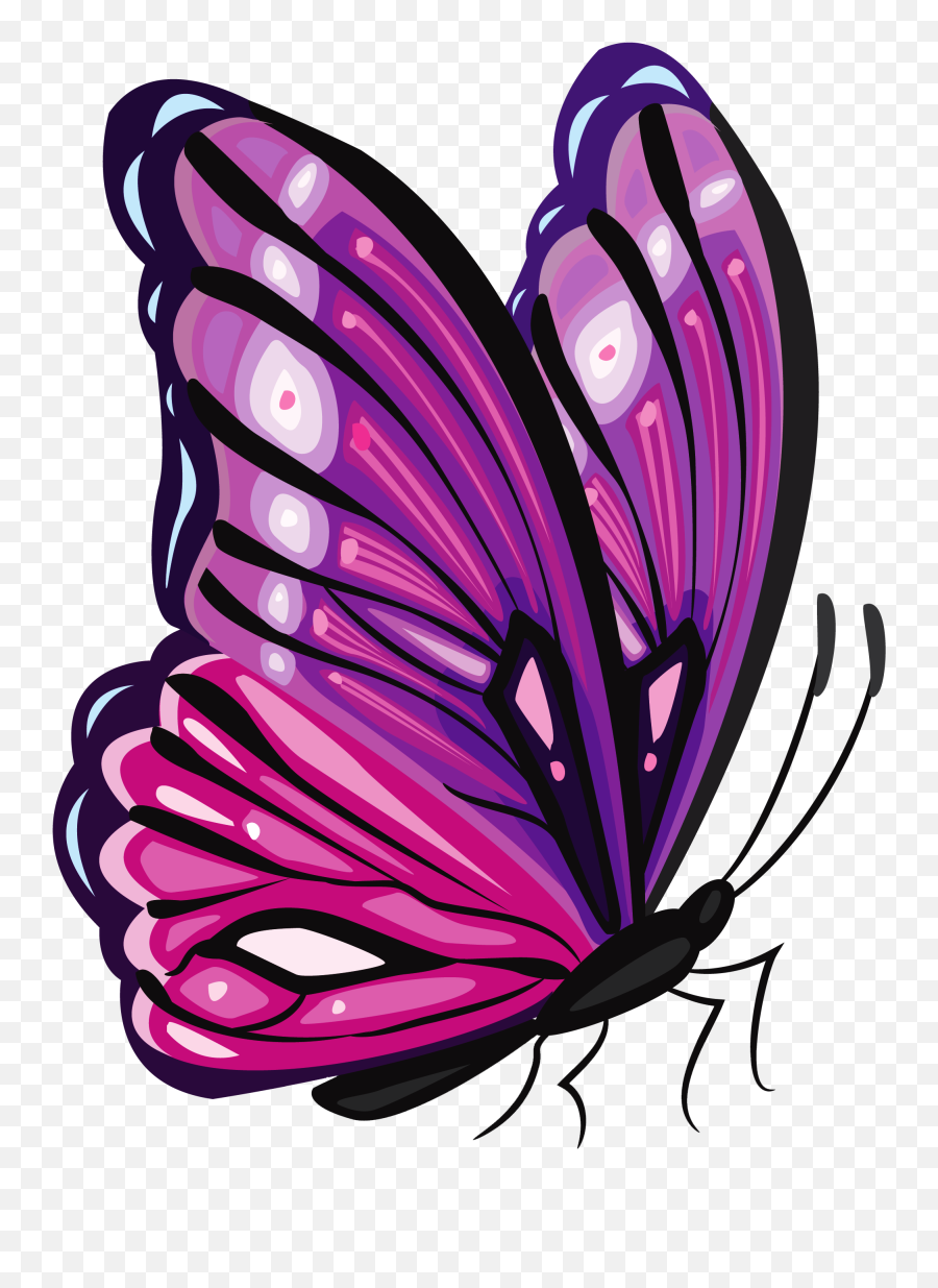 Butterfly Wallpaper Png - Colorful Butterflies Clip Art Emoji,Butterfly Emoji Png