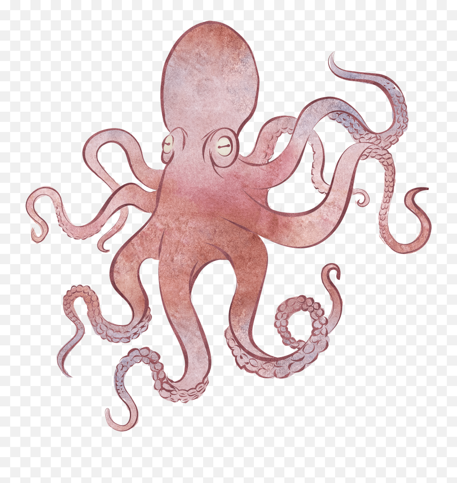 Free Photoshop Actions - Common Octopus Emoji,Octopus Changing Color To Match Emotion