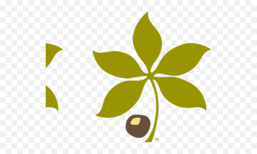 Buckeye Leaf Cliparts - Logo Buckeye Leaf Emoji,Buckeye Emojis