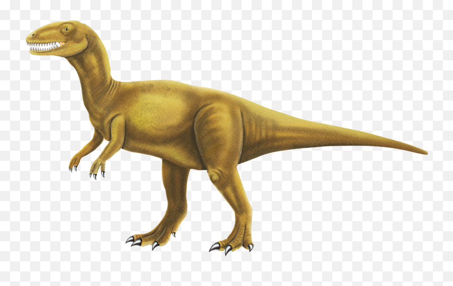 Free Dinosaur Images Free Download - 3rd Grade Dinosaur Reading Comprehension Emoji,Emoticons Dinosaure Facebook