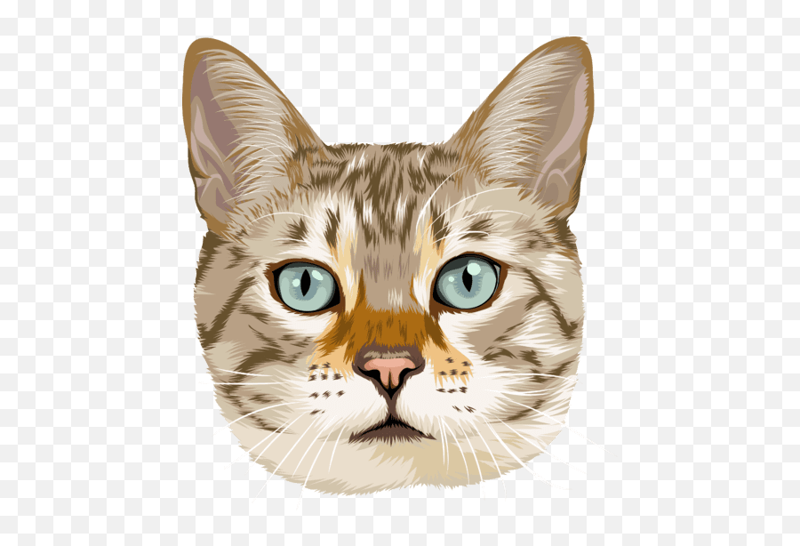 Cartoonize Your Cat - Cartoonized Cat Emoji,Anime Cat Face Emoticon Transparent