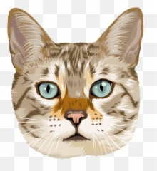 Cartoonize Your Cat - Cartoonized Cat Emoji,Anime Cat Face Emoticon Transparent