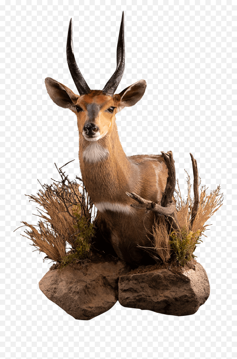 Bushbuck Bu104 Our Work Kanati Studio Emoji,Shoulder Pose Emojis