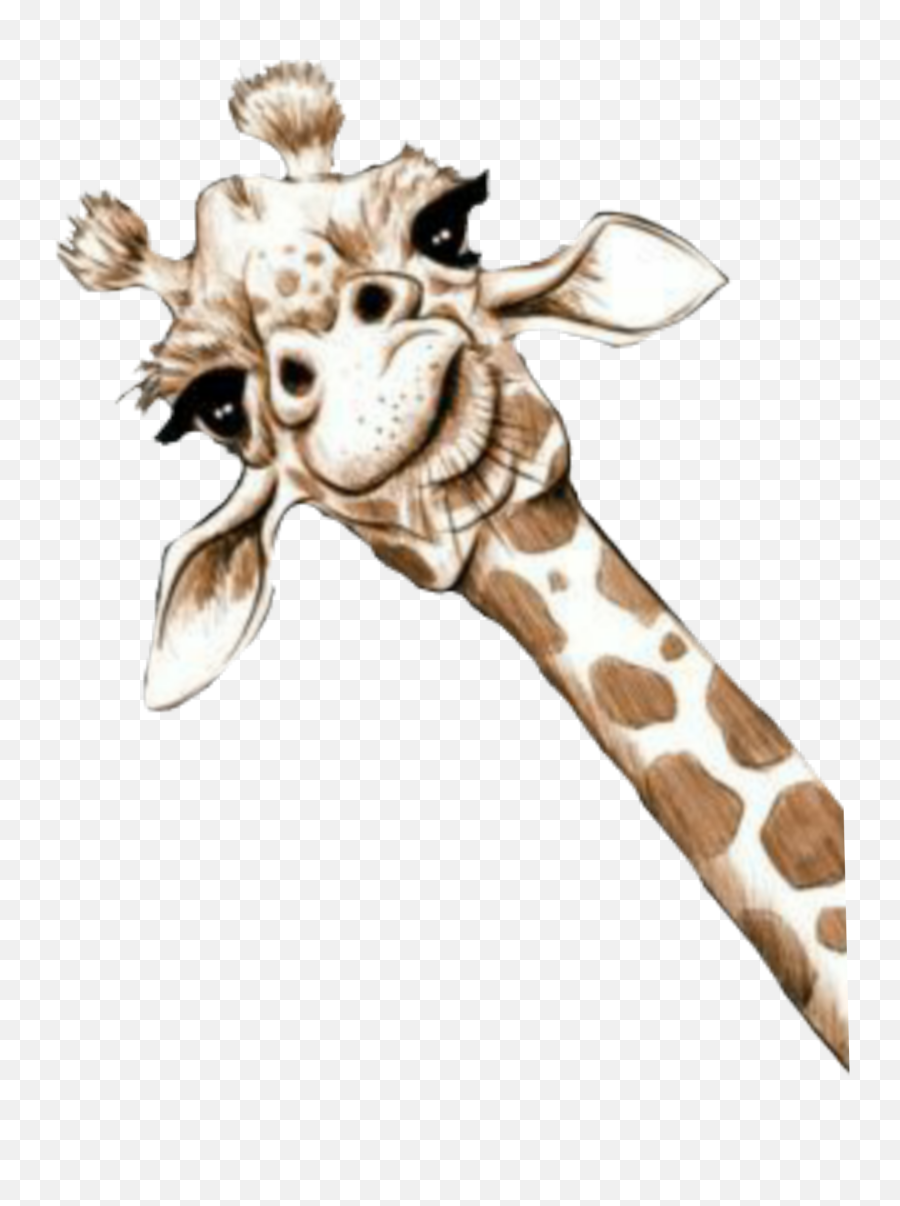 The Most Edited - Giraffe Art Emoji,Jirafe Emojis Png