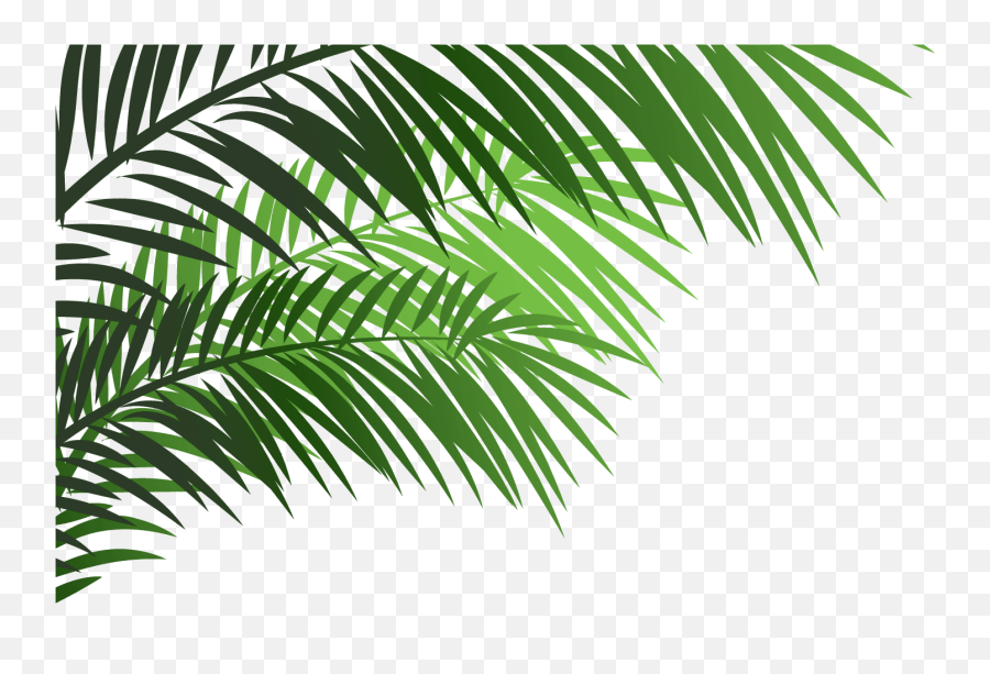 Palm Leaf Emoji Transparent Cartoon - Leaf A Emoji,Leaf Emoji