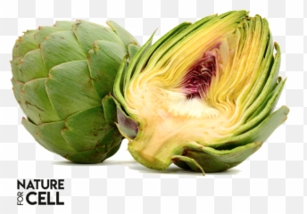 Nature For Cell Emoji,Nature& Emotions