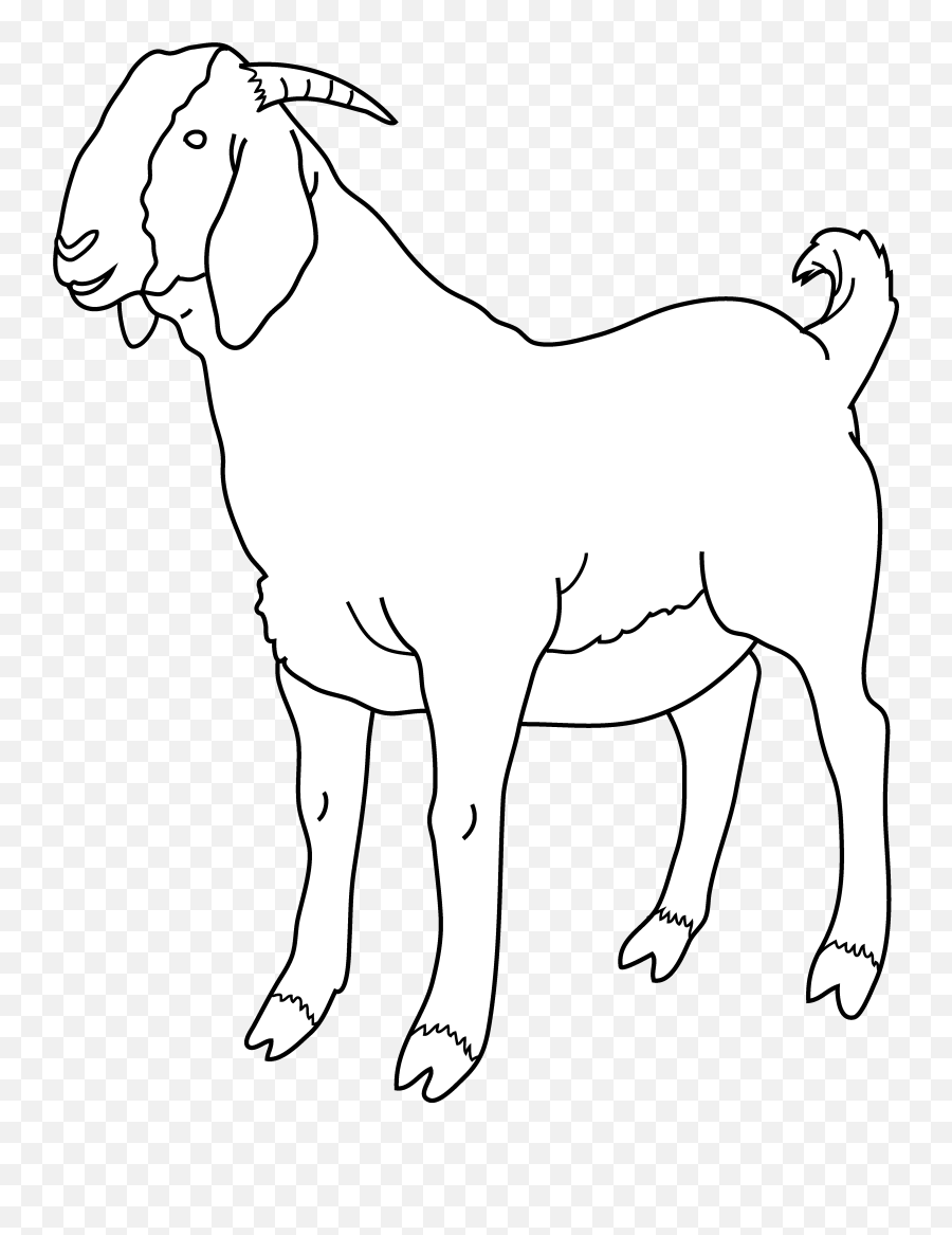 Clipart Goat Kiko Goat Clipart Goat Kiko Goat Transparent - White Goat Silhouette Png Emoji,Kiko Emoji
