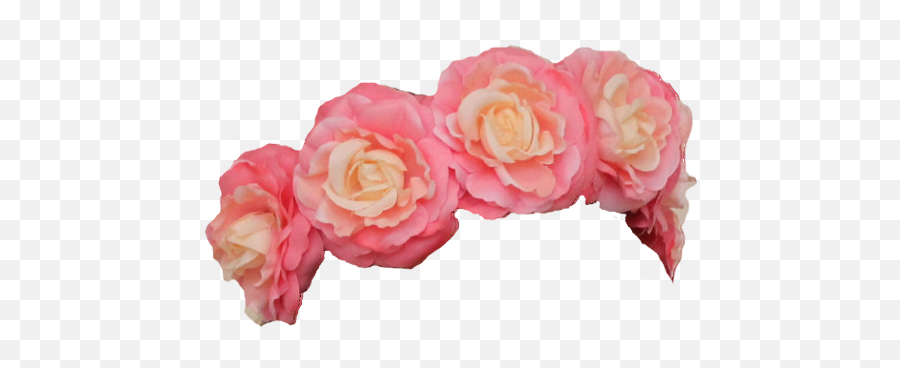 Flower Crown Png Tumblr Transparent - Flower Rose Crown Transparent Emoji,Flowe Emoji