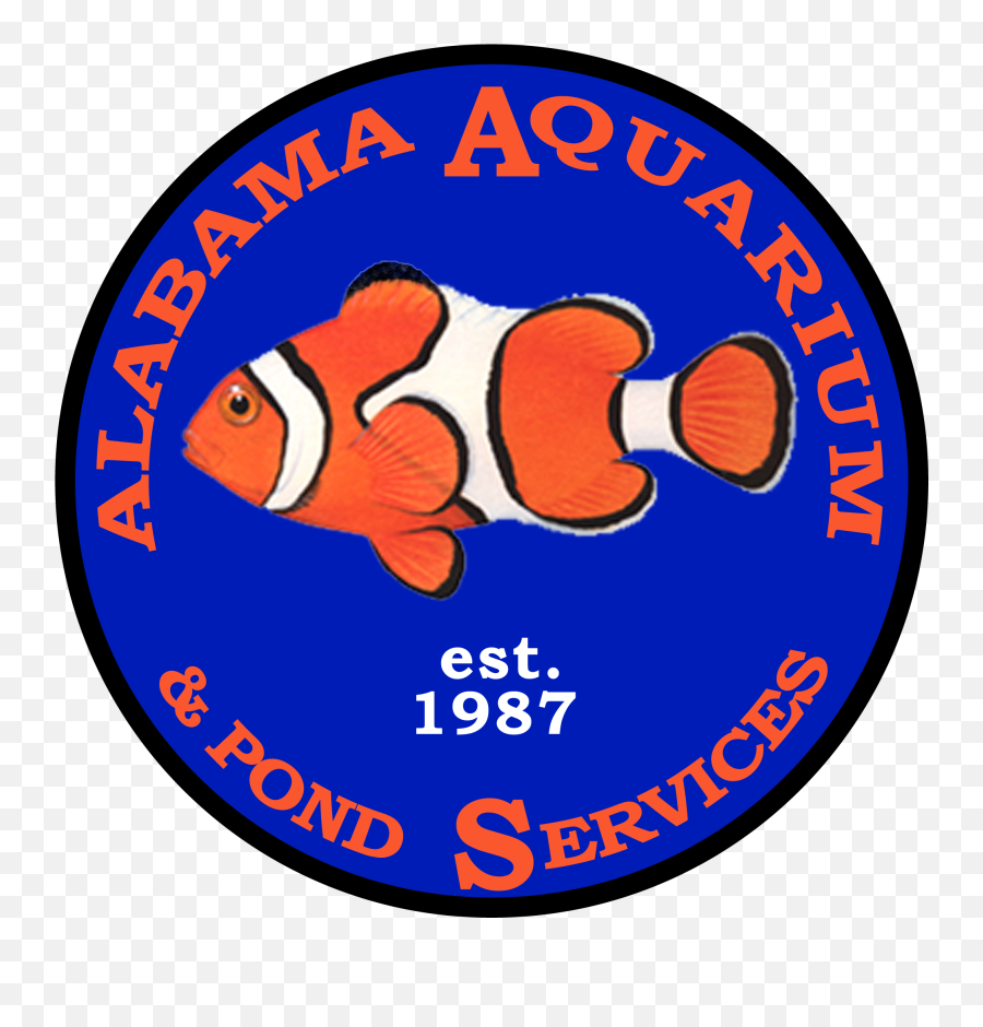 Phillip Moon Author At Alabama Aquarium U0026 Pond Services Inc - Aquarium Fish Emoji,Emotion Kayak Advant Edge